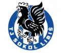 Sokol Libiš